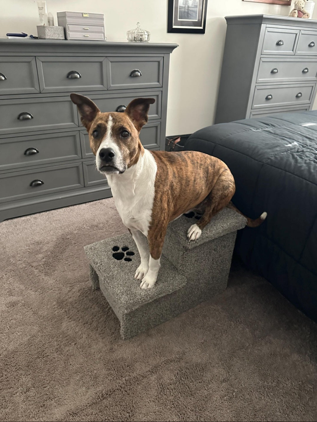 18” Heavy Duty Wooden Pet Stairs for Beds & Couches – 2-Step Dog Steps for Pets up to 100 lbs